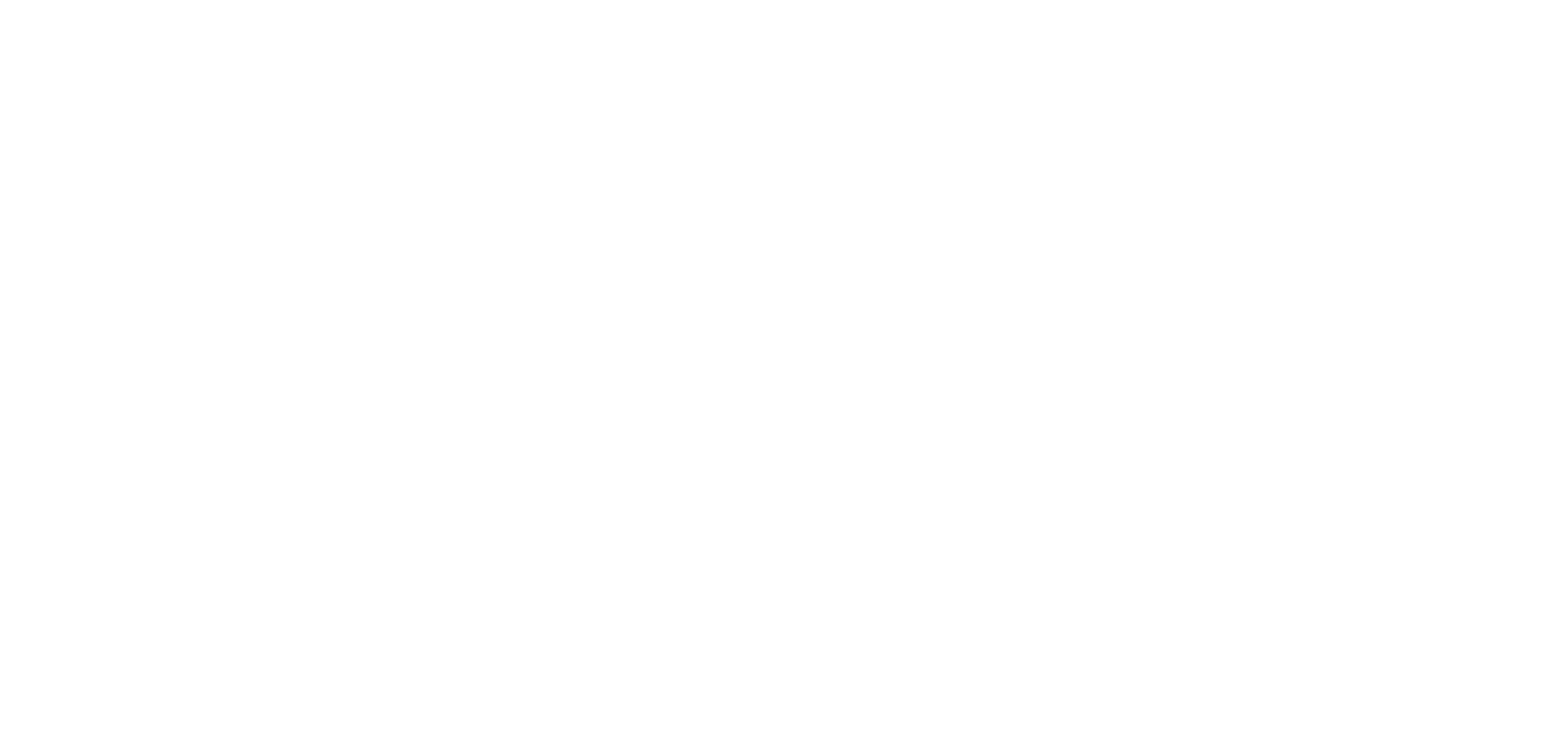 Dirt League logo — white